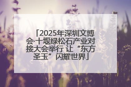 2025年深圳文博会·十堰绿松石产业对接大会举行 让“东方圣玉”闪耀世界