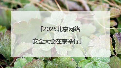2025北京网络安全大会在京举行