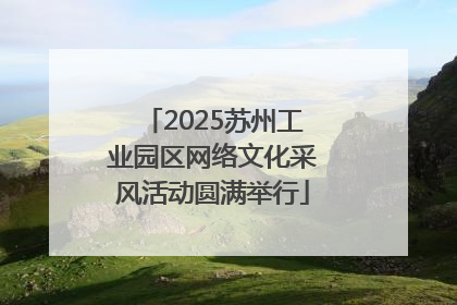 2025苏州工业园区网络文化采风活动圆满举行