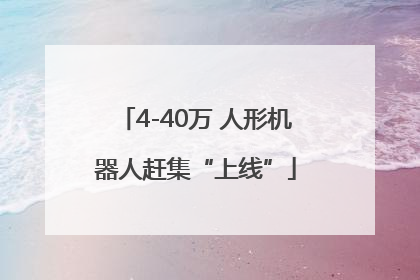 4-40万 人形机器人赶集“上线”
