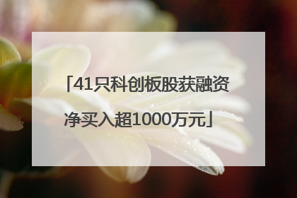 41只科创板股获融资净买入超1000万元
