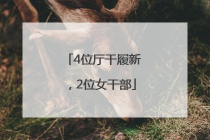 4位厅干履新，2位女干部
