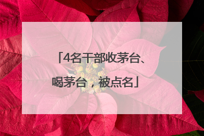 4名干部收茅台、喝茅台，被点名