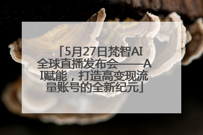 5月27日梵智AI全球直播发布会——AI赋能，打造高变现流量账号的全新纪元