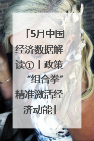 5月中国经济数据解读①丨政策“组合拳”精准激活经济动能