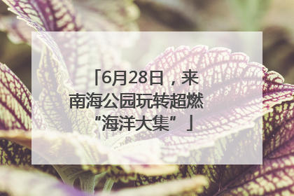 6月28日，来南海公园玩转超燃 “海洋大集”