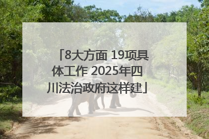 8大方面 19项具体工作 2025年四川法治政府这样建