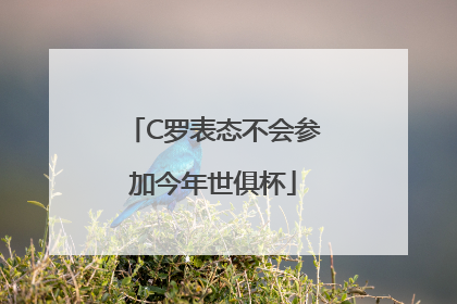 C罗表态不会参加今年世俱杯
