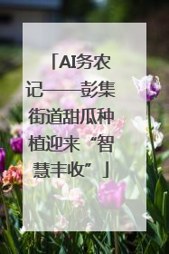 AI务农记——彭集街道甜瓜种植迎来“智慧丰收”