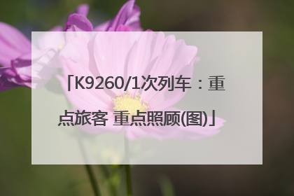 K9260/1次列车：重点旅客 重点照顾(图)